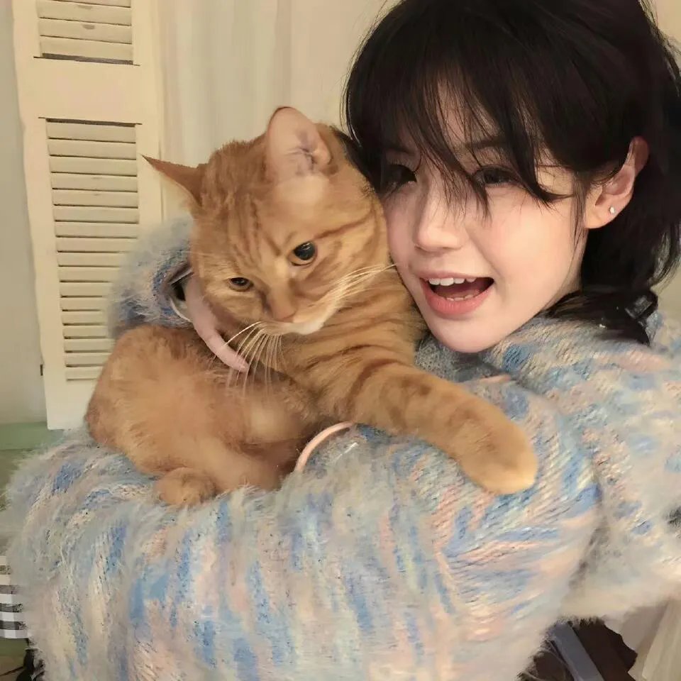 蛊惑猫捉贼